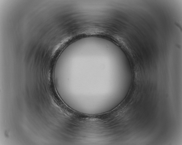 X0000103930539200809191126