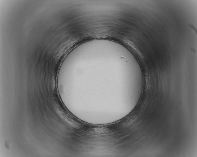 X0000103930541200809191126
