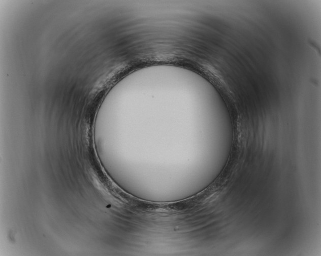 X0000103930542200809191126