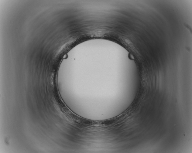 X0000103930543200809191126