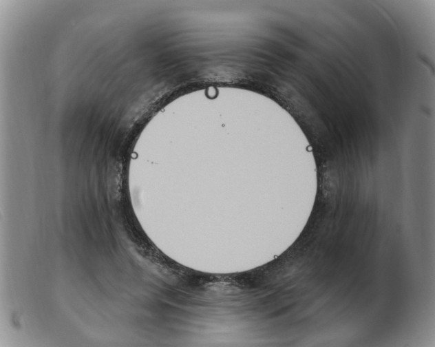 X0000103930544200809191126