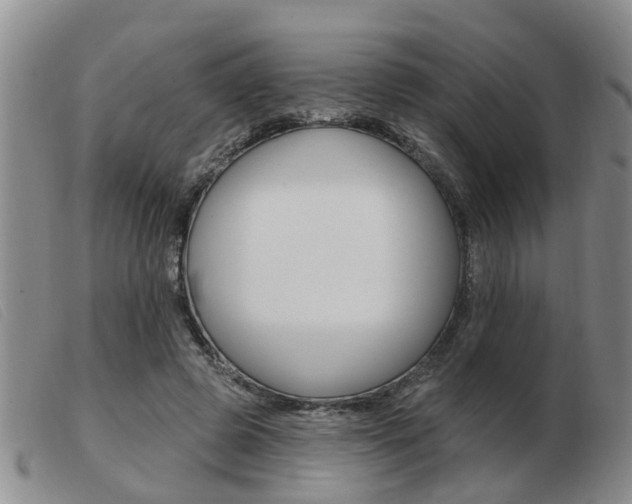 X0000103930545200809191126