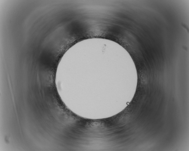 X0000103930546200809191126