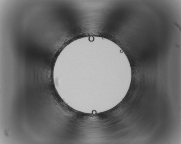 X0000103930548200809191126