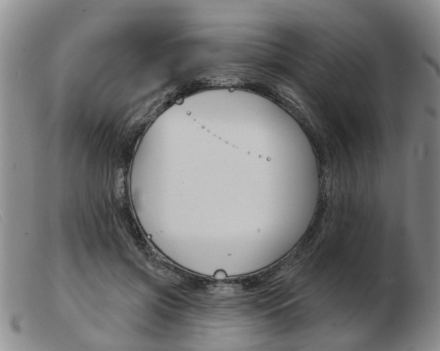X0000103930549200809191126