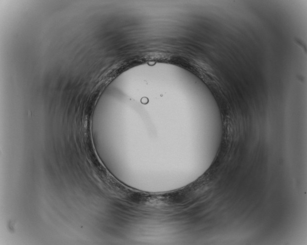 X0000103930550200809191126