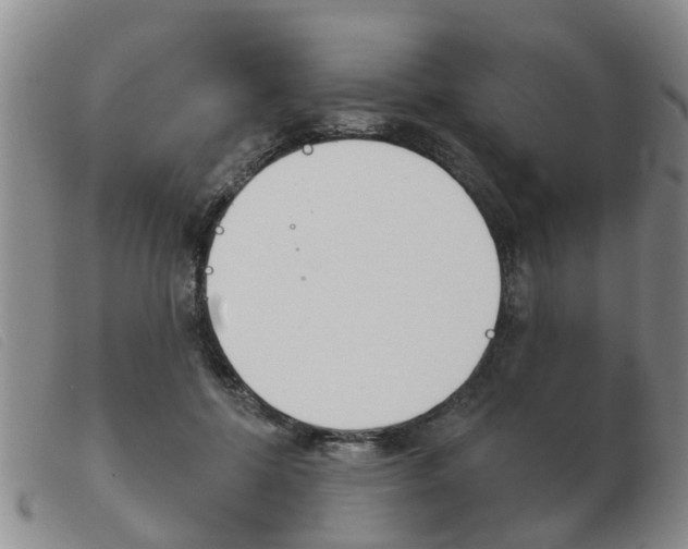 X0000103930552200809191126