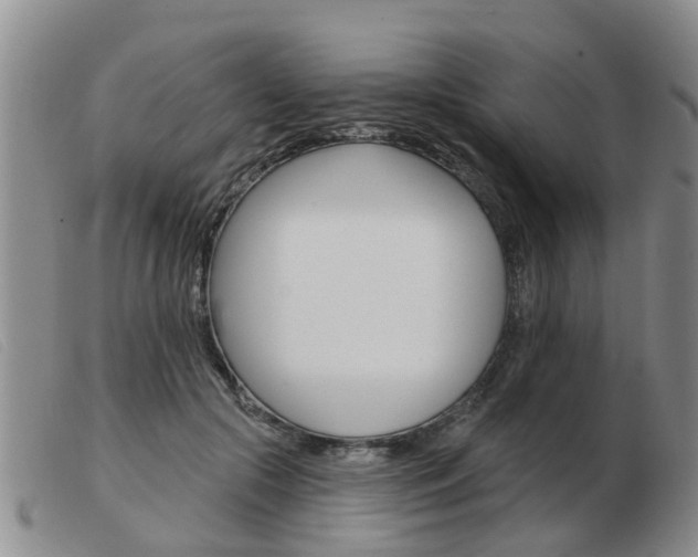 X0000103930553200809191126