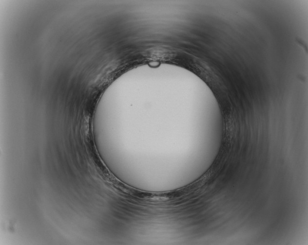 X0000103930554200809191126