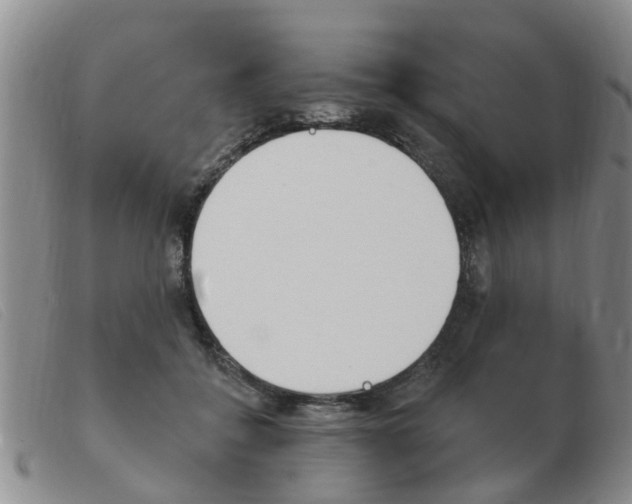 X0000103930556200809191126