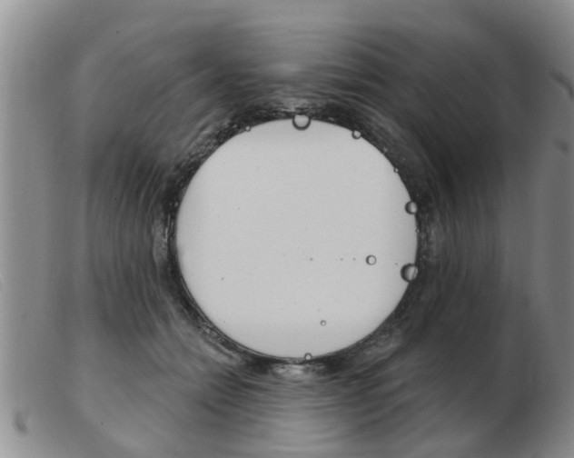 X0000103930558200809191126