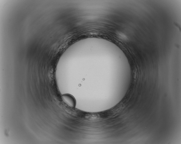 X0000103930559200809191126