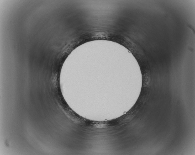 X0000103930560200809191127