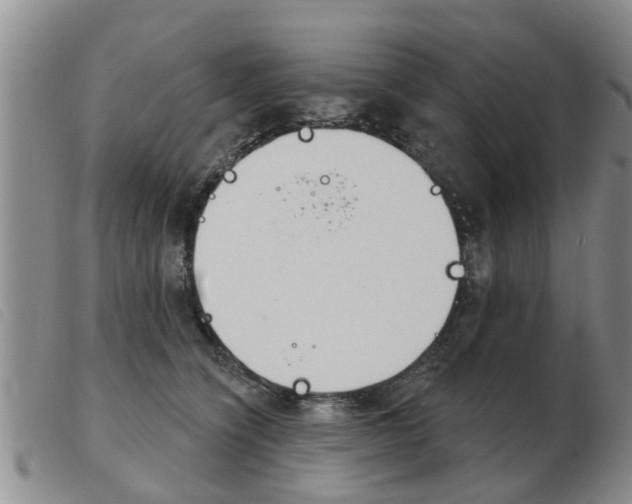 X0000103930564200809191127