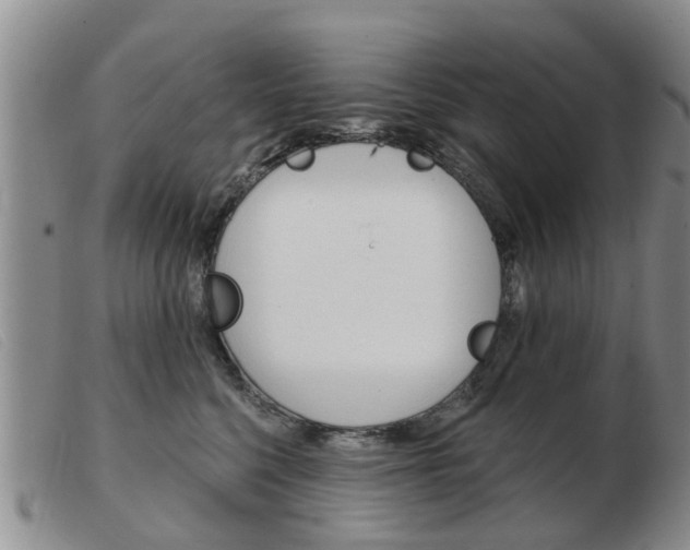 X0000103930568200809191127