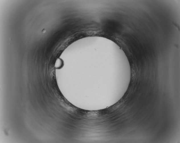 X0000103930574200809191127