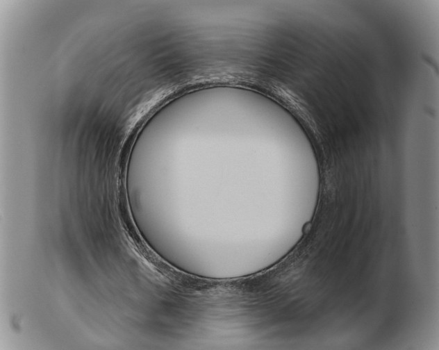 X0000103930578200809191126