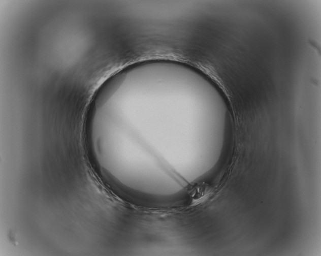 X0000103930579200809191126