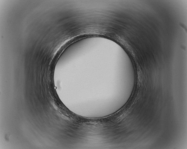 X0000103930580200809191126