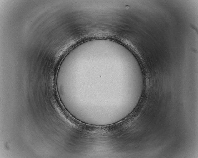 X0000103930581200809191126
