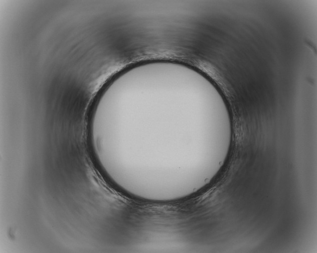 X0000103930583200809191126