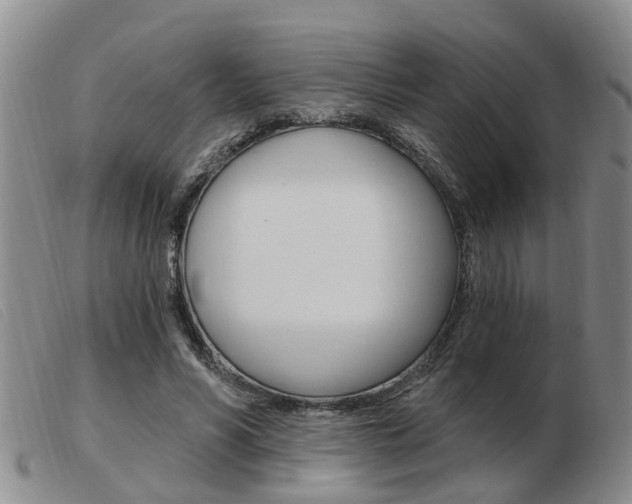 X0000103930590200809191126