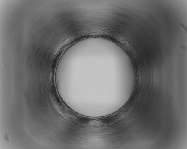 X0000103930591200809191126