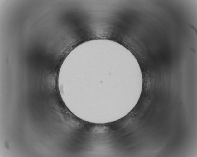 X0000103930595200809191125