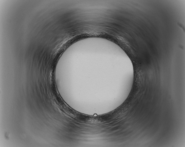 X0000103930596200809191125