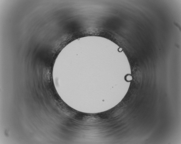 X0000103930597200809191125