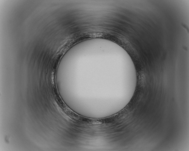 X0000103930598200809191125