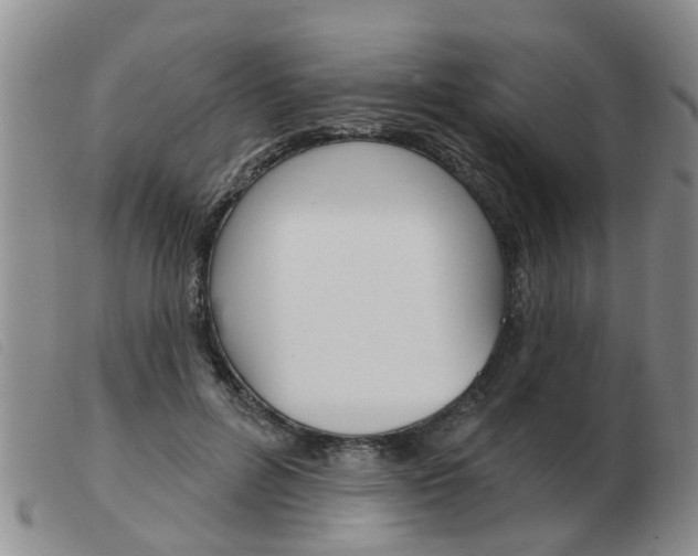 X0000103930600200809191125