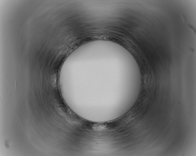 X0000103930602200809191125