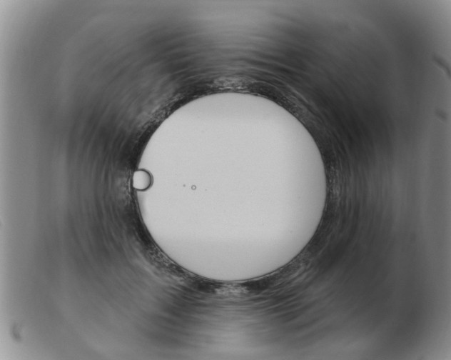 X0000103930603200809191125
