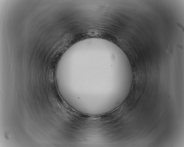 X0000103930606200809191125