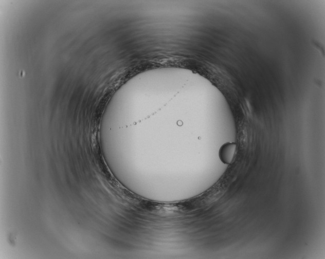 X0000103930607200809191125