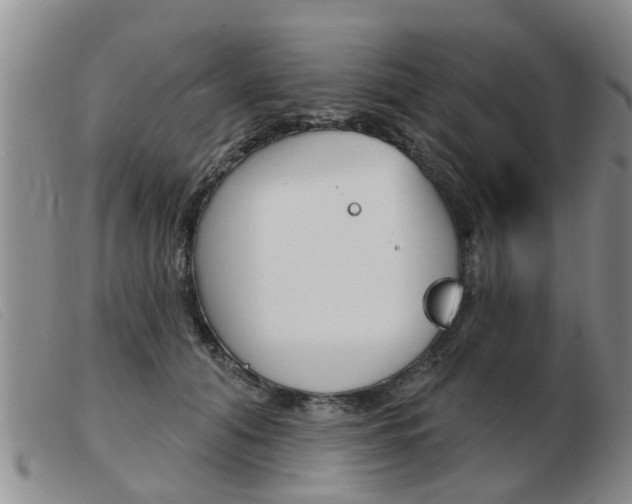 X0000103930608200809191125
