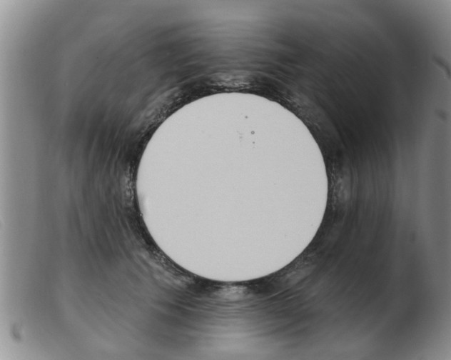 X0000103930609200809191125