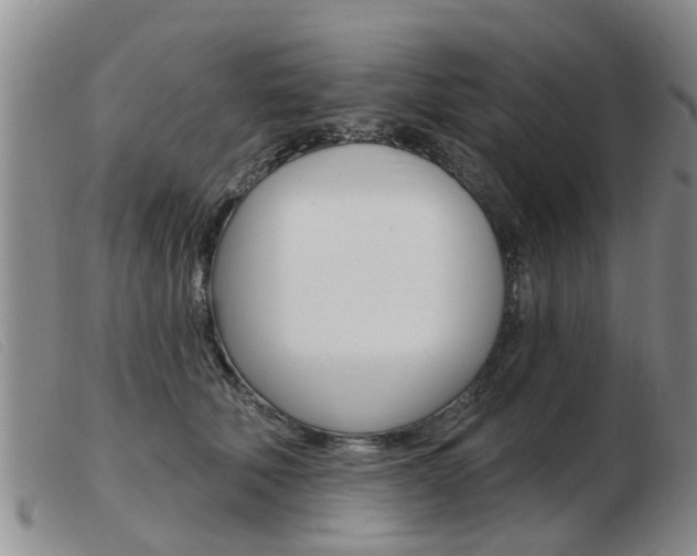 X0000103930610200809191125