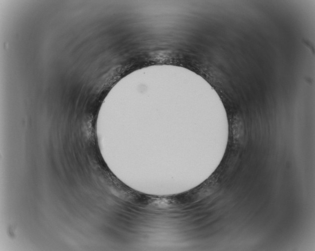 X0000103930611200809191125