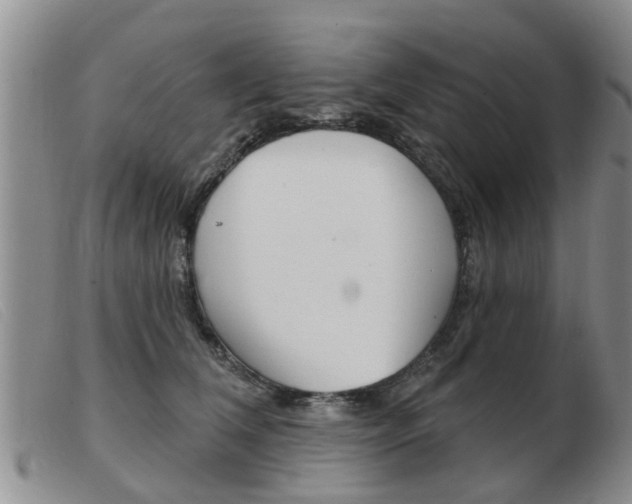 X0000103930612200809191125