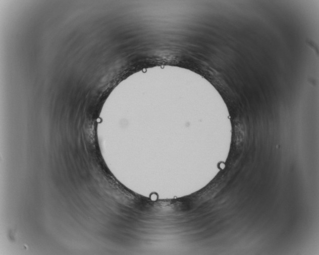 X0000103930613200809191125