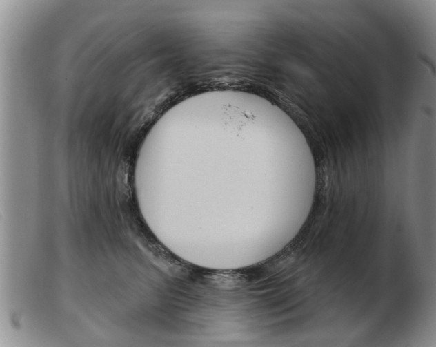 X0000103930615200809191125