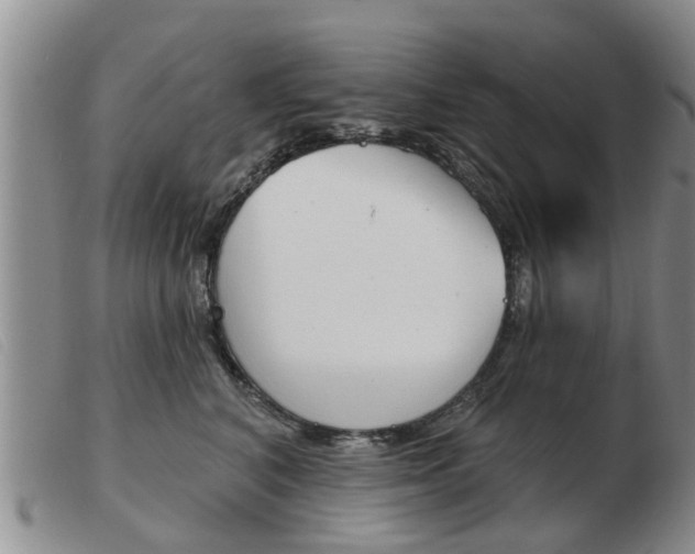 X0000103930616200809191125