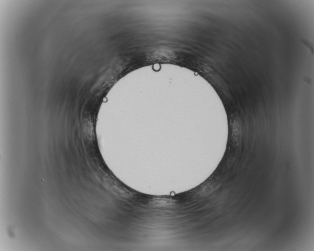 X0000103930617200809191125