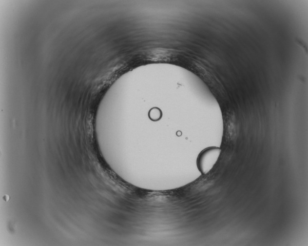 X0000103930620200809191125
