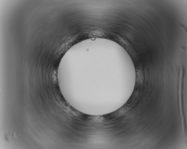 X0000103930621200809191125