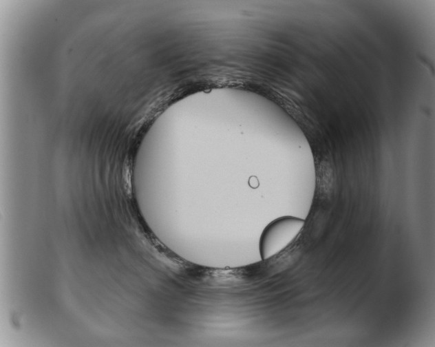 X0000103930622200809191125