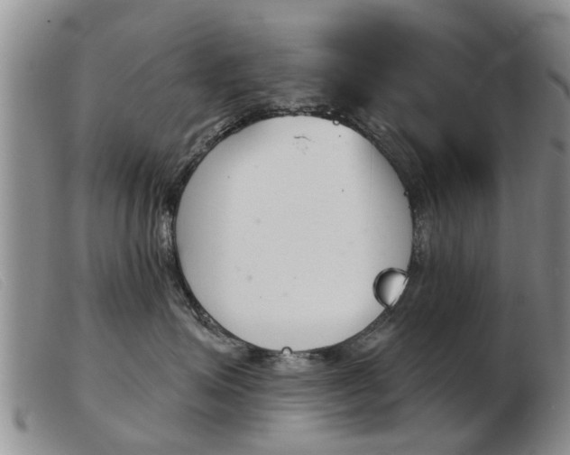 X0000103930623200809191125