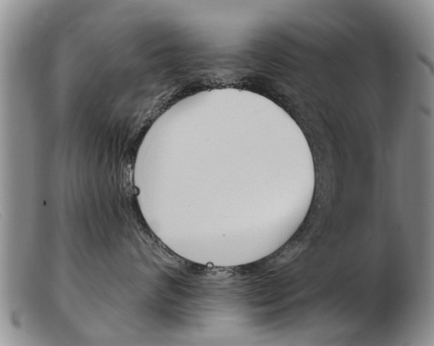 X0000103930624200809191125